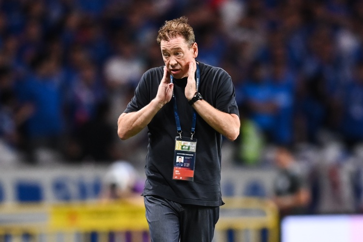 馬德興：申花要是輸了，國安和海港、成都又要看到希望了